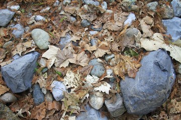 Troncones recreational area - mexico