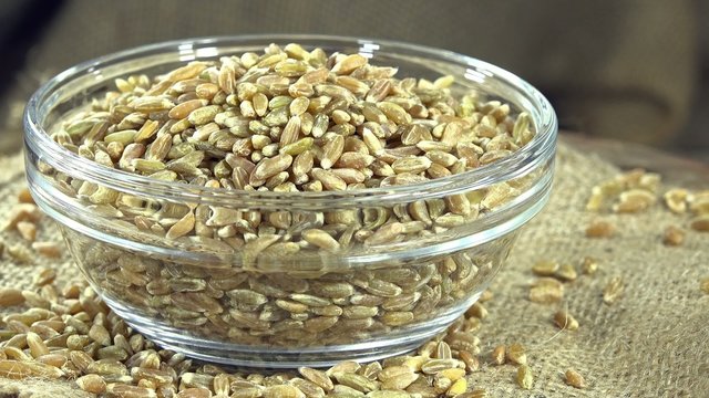 Green Spelt (not loopable 4K UHD close-up footage)