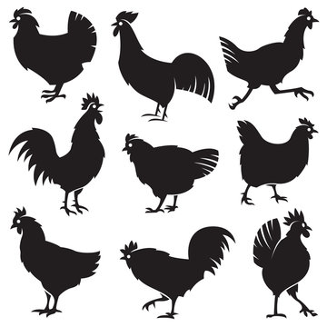 monochrome set of different silhouettes of chickens