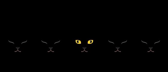 黄色い目の黒猫