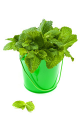Bunch fresh green mint in mug. Selective focus.