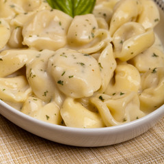 Creamy Tortellini Alfredo. Selective focus.
