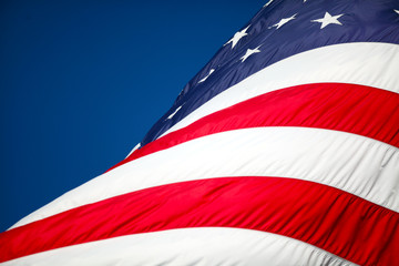 USA Flag