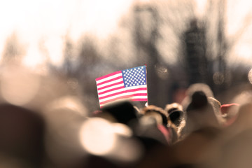 American Flag in a Crowd