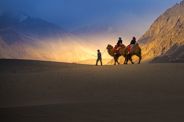 Camel safari in Nubra Valley at Leh Ladakh India - obrazy, fototapety, plakaty