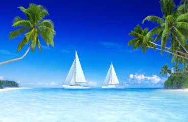 Yacht island ocean palm tree concept © Rawpixel.com