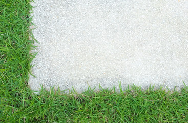 green grass frame on old concrete
