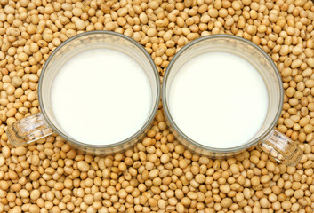 Soybean, soymilk, nutrition beverage