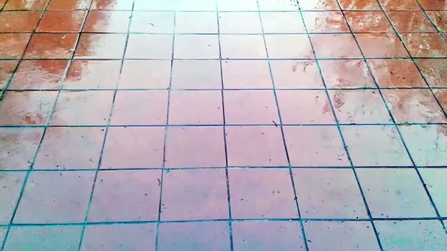 red floor on a rainy day