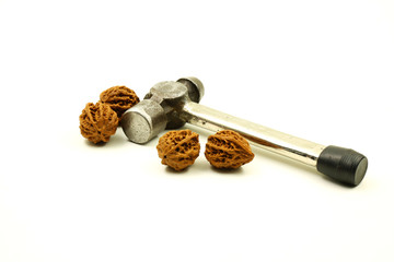 Four Walnuts and a Flat Iron Hammer