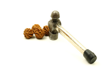 Four Walnuts and an Upright Iron Hammer