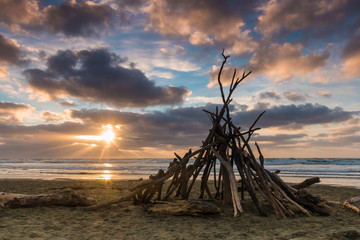 Beach Wood Shelter