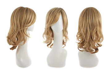 Hair wig over the mannequin head
