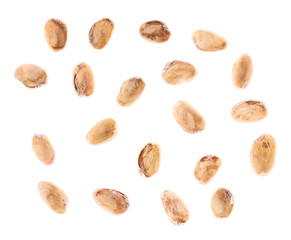 Multiple pistachio shells isolated