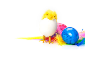 Osterkarte, Ostereier, Osterküken