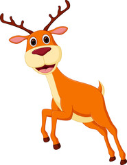 Cute deer cartoon running