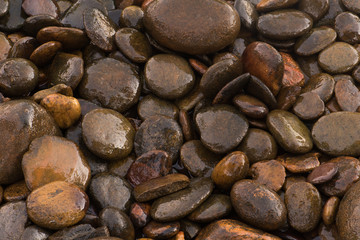 Stone textured