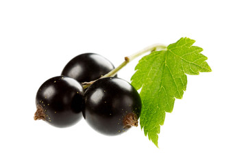 black currant isolated on white background