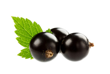black currant isolated on white background
