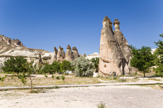 Cappadocia. View Pashabag Valley (Valley of the Monks)