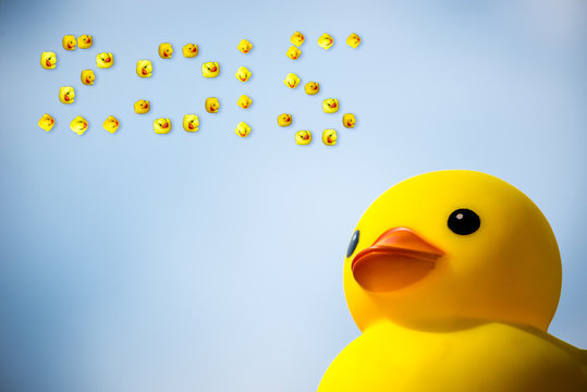 Happiness yellow rubber duck amd blue sky,happy new year 2015 - Powered by Adobe