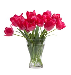 Bouquet of tulips in glass vase isolated on white background