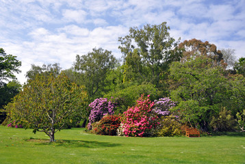 Wellington Botanical Gardens New Zealand