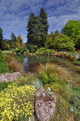 Wellington Botanical Gardens New Zealand © dpe123
