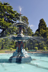 Wellington Botanical Gardens New Zealand © dpe123