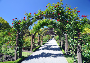 Wellington Rose Garden New Zealand