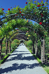 Wellington Rose Garden New Zealand