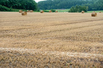 landscape of countryside  in Japan