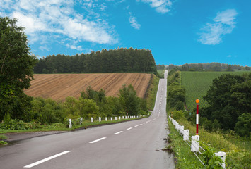 landscape of countryside  in Japan