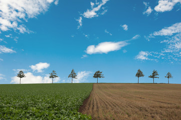landscape of countryside  in Japan