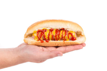 Hand holding hot dog.