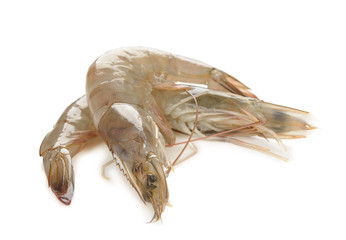Raw shrimp