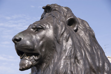 Lion Statue,  Trafalgar Square, London