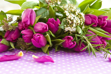 Lila Tulpen und Zweige
