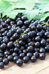 black currant