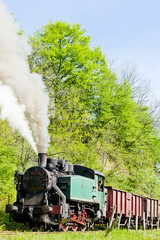 Obraz na płótnie Canvas steam freight train, Durdevik, Bosnia and Hercegovina