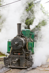 Fototapeta na wymiar steam locomotive, Museum of Kysuce village, Vychylovka, Slovakia