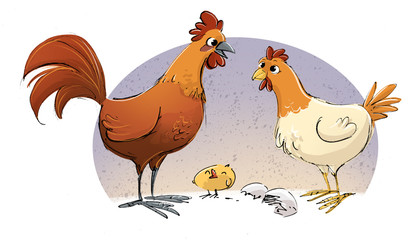 gallo y gallina