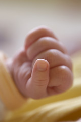 baby's hand