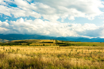Fototapeta na wymiar Carpathian Mountains Landscape With Blue Sky In Summer