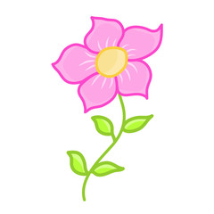 pink flower isolated illustration