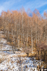 Obraz premium Ski resort Forest Tale near town of Almaty, Kazakhstan