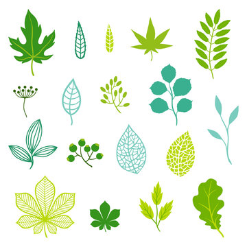Set of green leaves and elements.