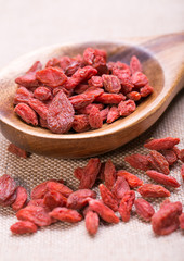 Chinese wolfberry(Lycium barbarum) on white background. goji 