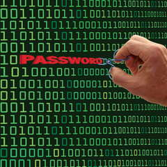 Password Theft Concept