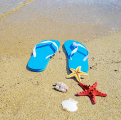 Fototapeta na wymiar flip flops and starfish by the sea